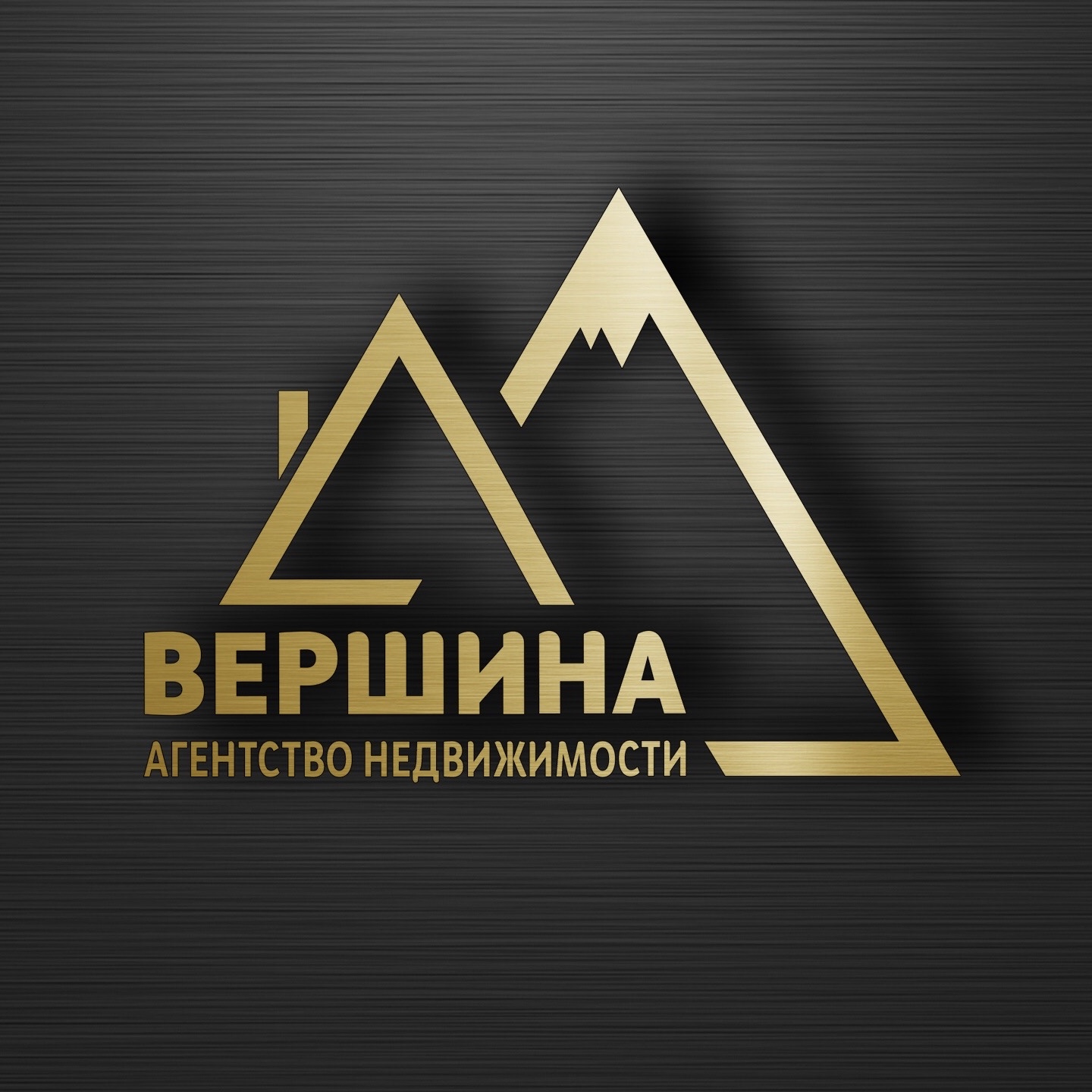 Логотип Вершина